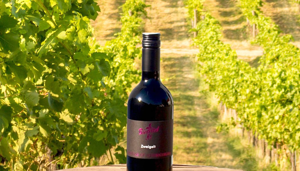 rotwein_zweigelt